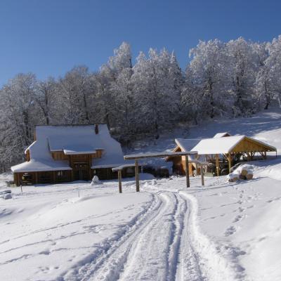 Immobilien Romania 1